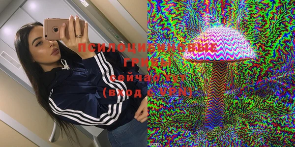 ешки Медвежьегорск