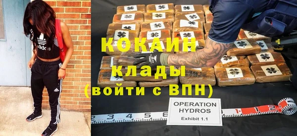 гидропоника Мегион
