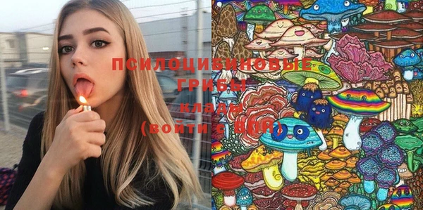 ешки Медвежьегорск