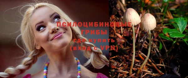 ешки Медвежьегорск