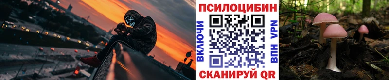 Купить где  Анжеро-Судженск  Псилоцибиновые грибы MAGIC MUSHROOMS 